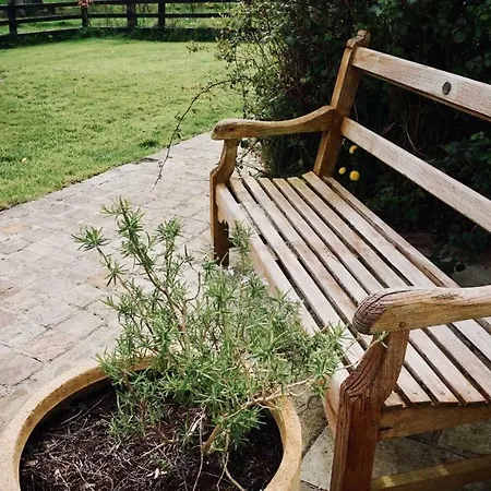 Bed & Breakfast Cartron House Ballinakill (Galway)