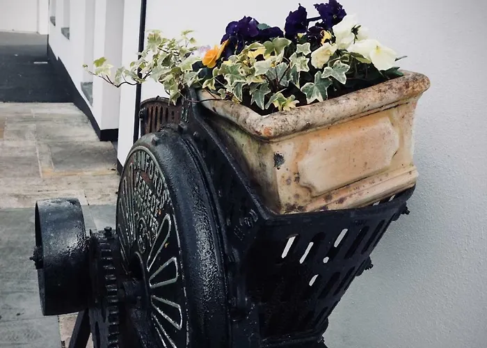 Frühstückspension Cartron House Ballinakill (Galway)