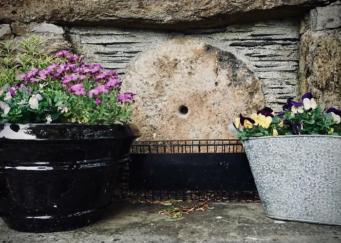 Cartron House 3* Ballinakill (Galway)