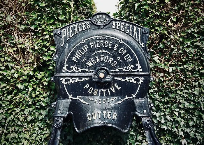 Cartron House Ballinakill (Galway)